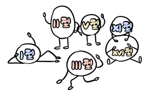 锦波重组III型人源化胶原蛋白，皮肤真正需要的胶原蛋白！