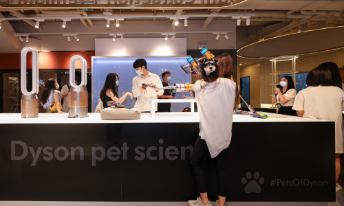 让科技融入爱宠日常 戴森全面解决方案打造宠物科学“家”