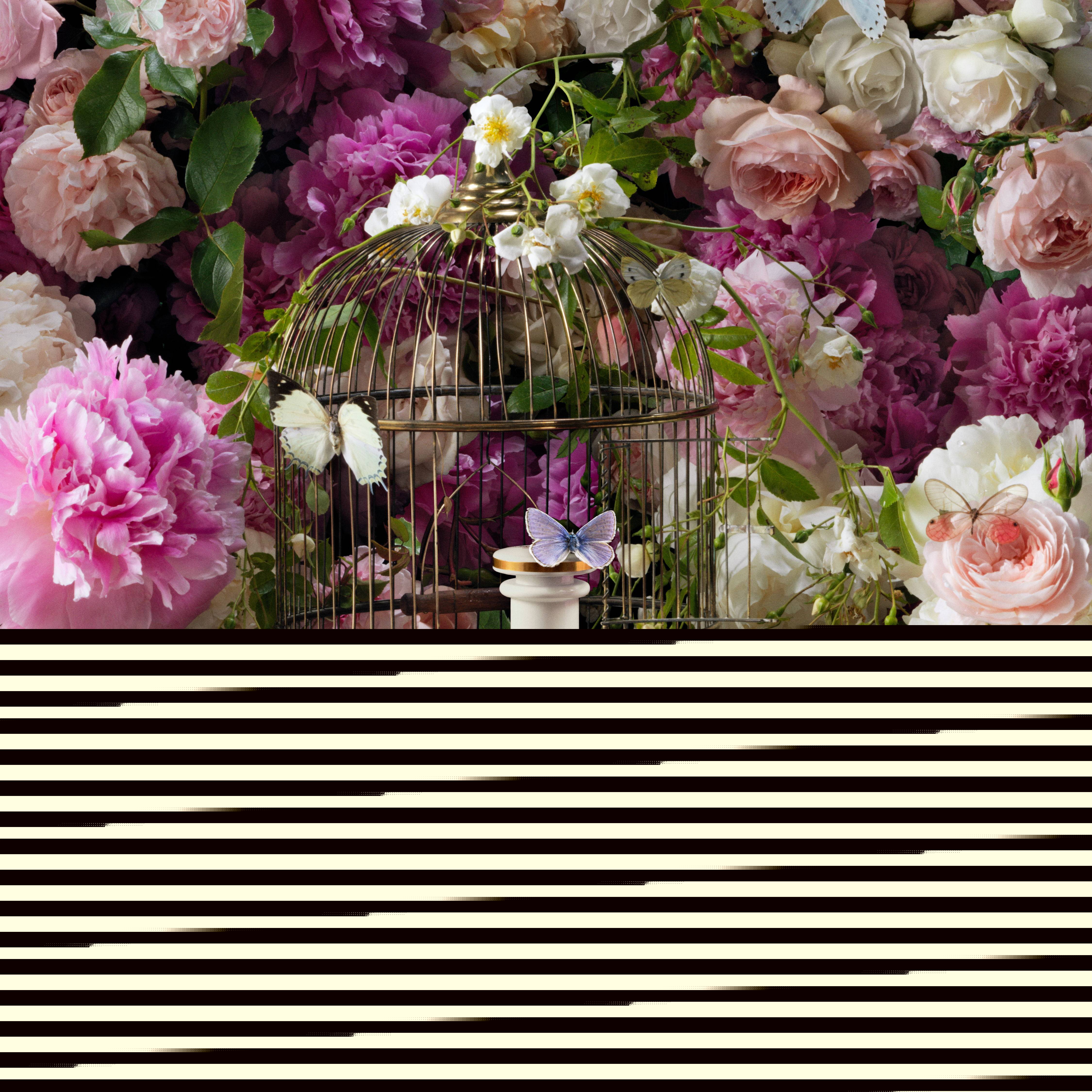 古驰炼金士花园系列推出新款香水 “心之舞”